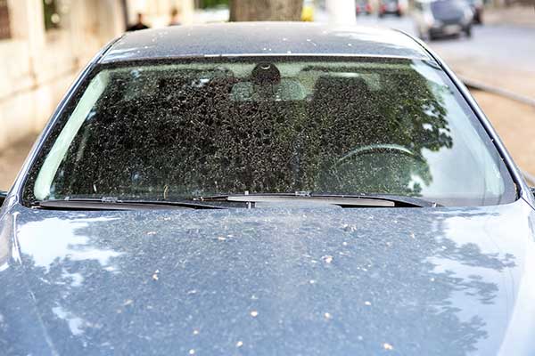 How to Remove Water Stains from Car Glass