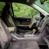 How to Get Rid of Mold in Your Car?